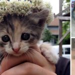 7 Cutest Things Ever to Roam the Face of the Earth